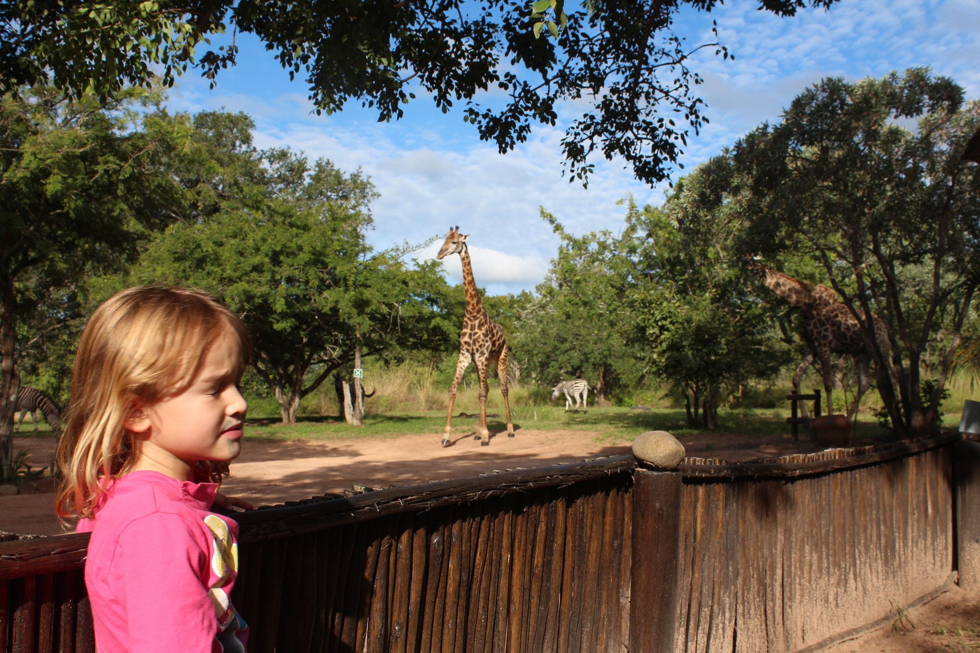 Thornhill Safari Lodge Hoedspruit Ngoại thất bức ảnh