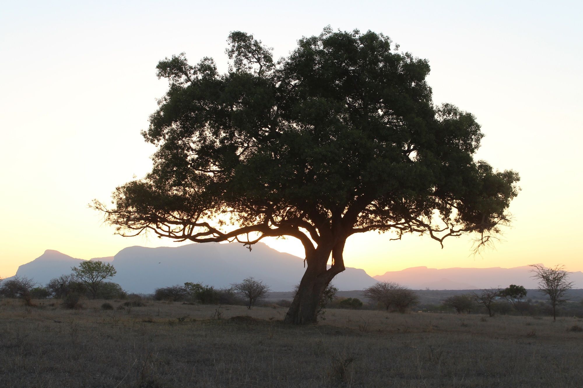 Thornhill Safari Lodge Hoedspruit Ngoại thất bức ảnh