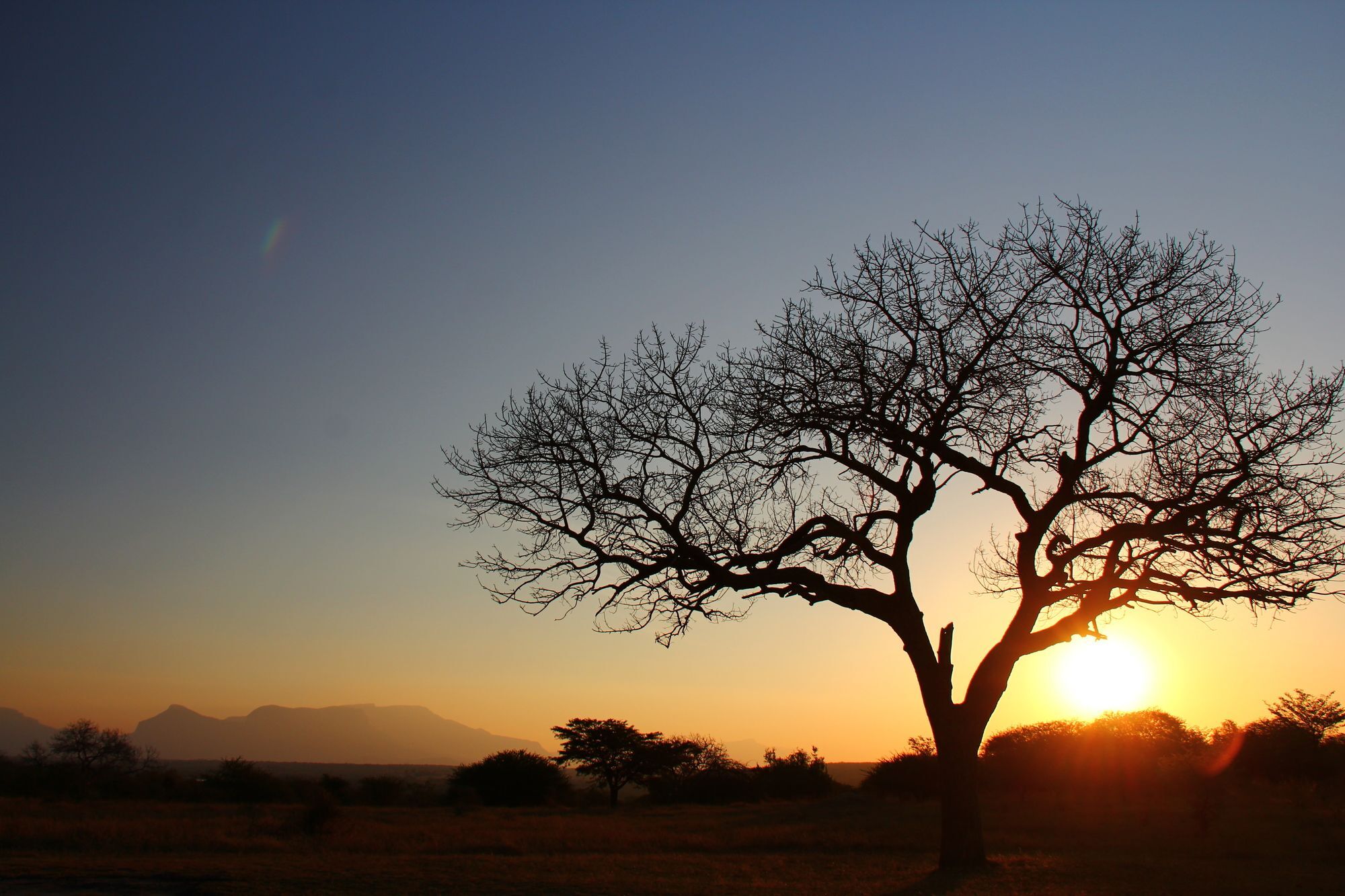 Thornhill Safari Lodge Hoedspruit Ngoại thất bức ảnh