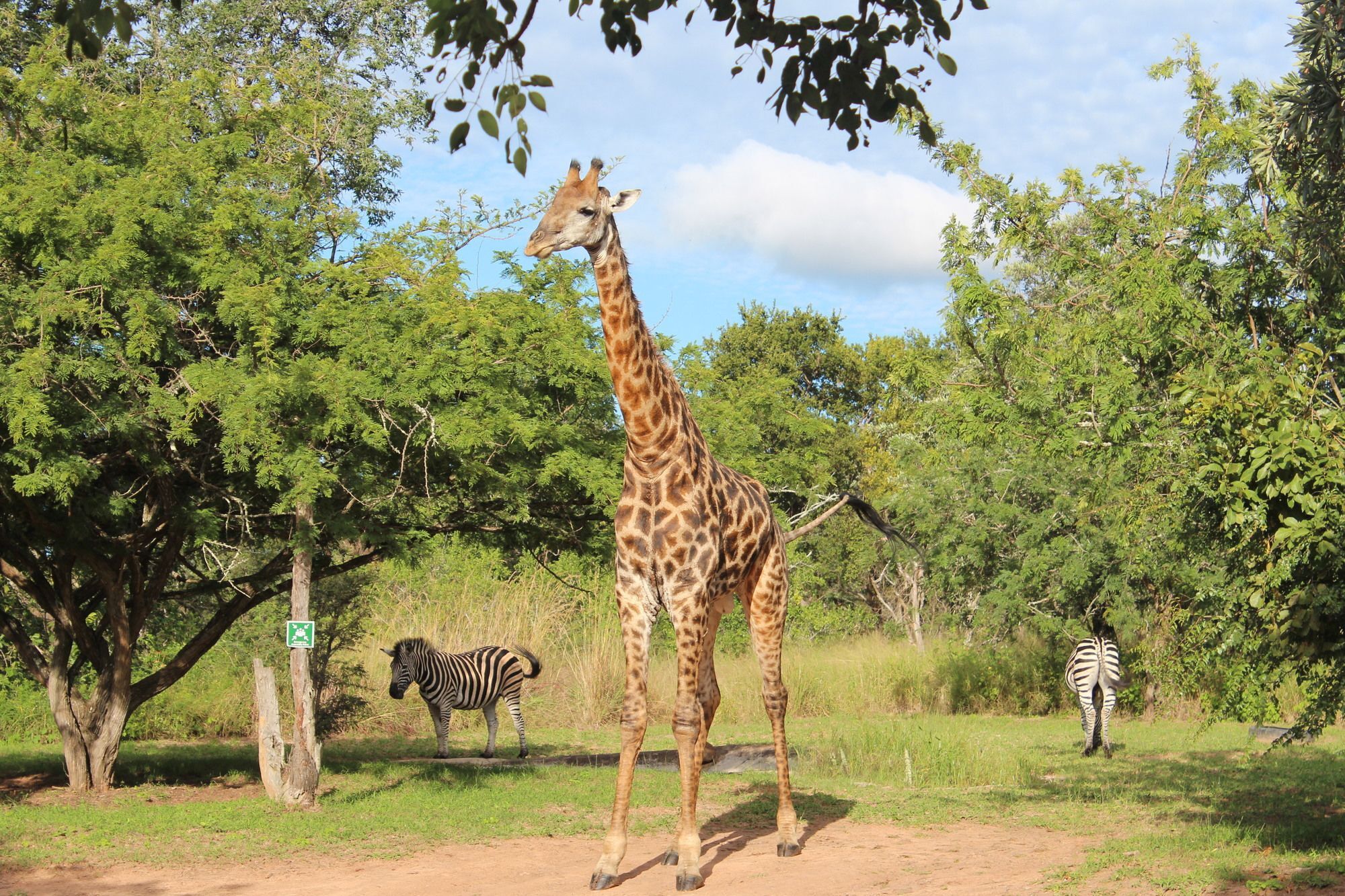 Thornhill Safari Lodge Hoedspruit Ngoại thất bức ảnh